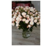 K4 - Kytička staroružových drobnokvetých ruží
