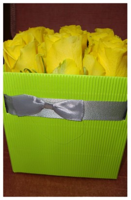 B1 - Spanilé žlté ružičky pre krásne družičky aj dobré detičky