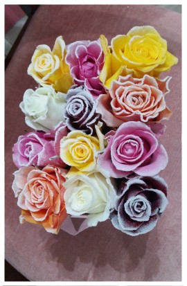 B3 - VIP farebné ružičky z Holandska
