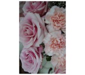 K44 - Kytica ružových exkluzívnych ruží