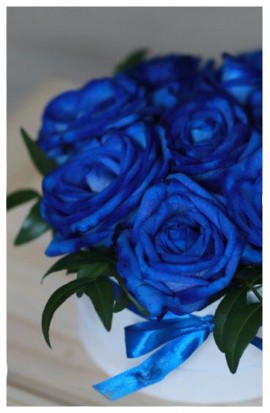 B8 - Kráľovské modré ruže