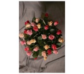 K46 - Krásne ruže rôznej farebnej dostupnosti