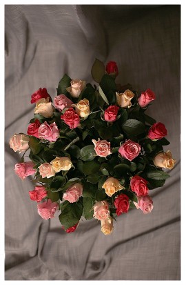 KM1 - Pestrofarebné ruže sú tu pre Vás