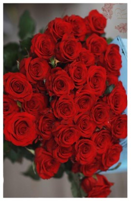 KM4 - Červené ohnivé ružičky