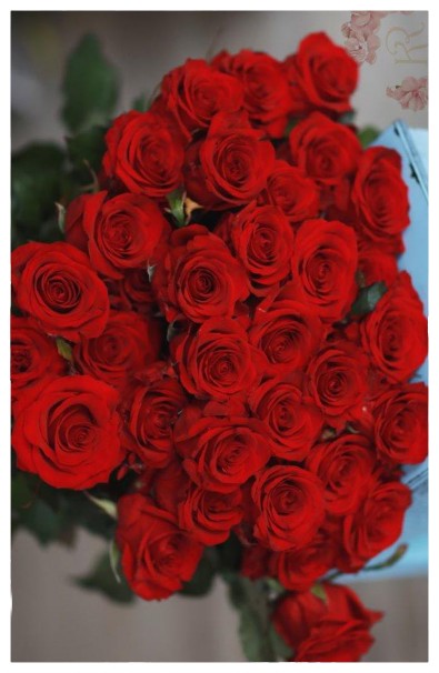 KM4 - Červené ohnivé ružičky
