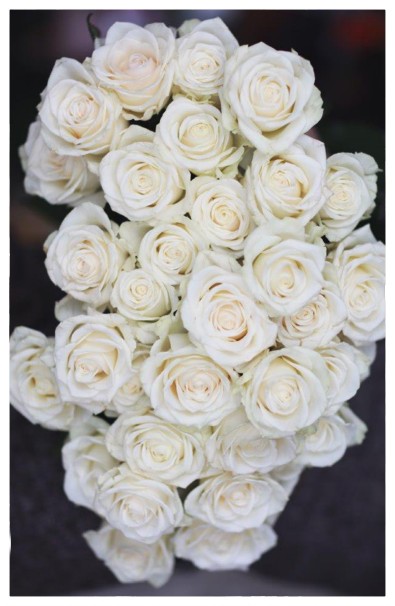 RX3 - Ruže exkluzívne bielo-smotanové